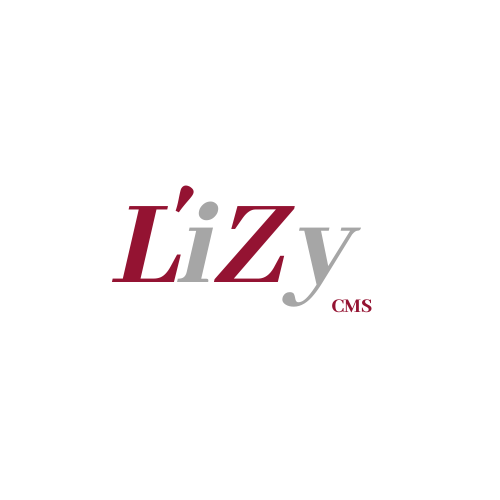 Logo LiZy